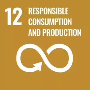 ODS 12 - Responsible consumption and production