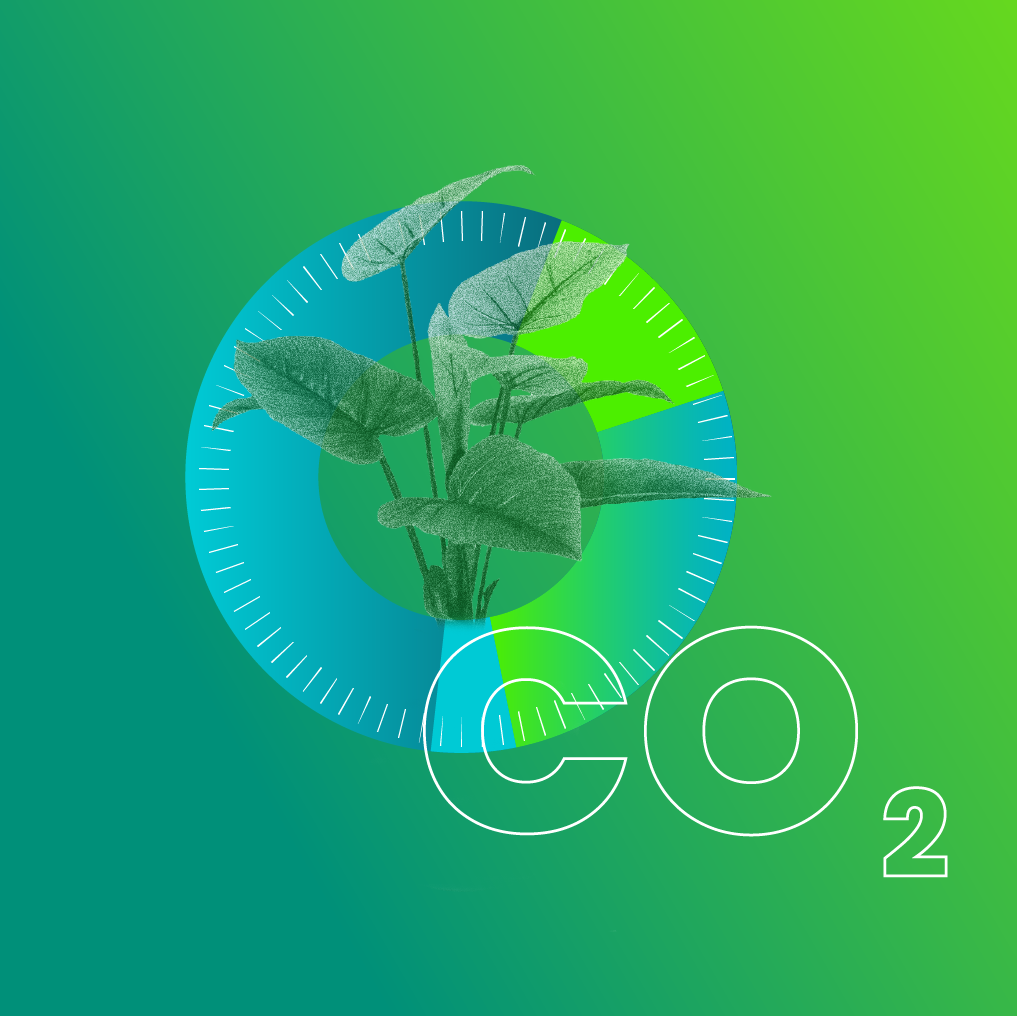 Green Soft Tracker Julasoft