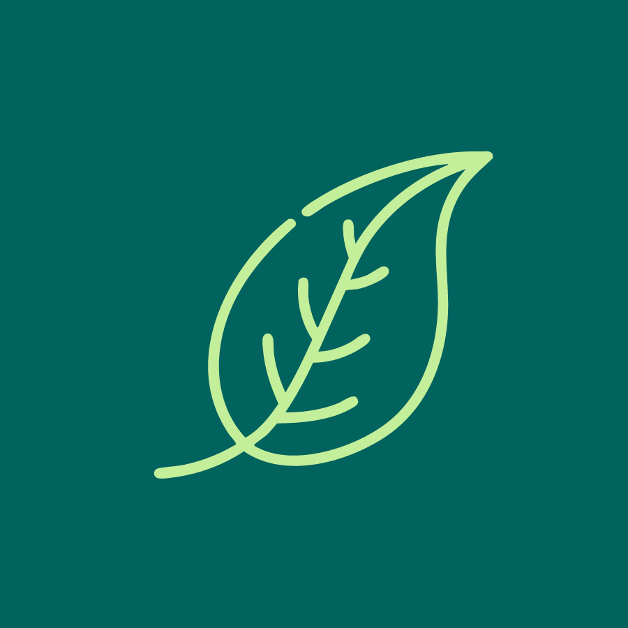 Negocios Verdes - MINAM